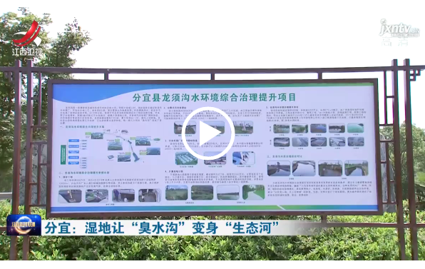 江西卫视：湿地让“臭水沟”变身“生态河”