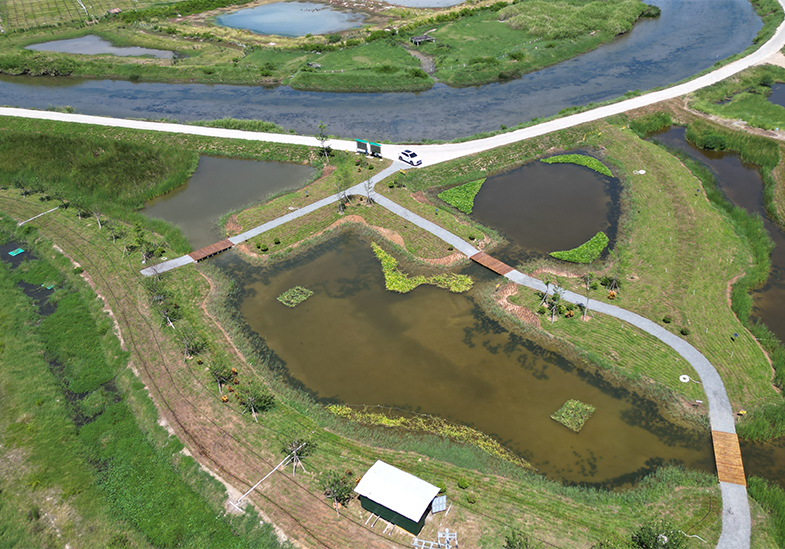 海南乐东县佛罗溪典型流域多污染源协同治理和退水资源化利用试点示范项目