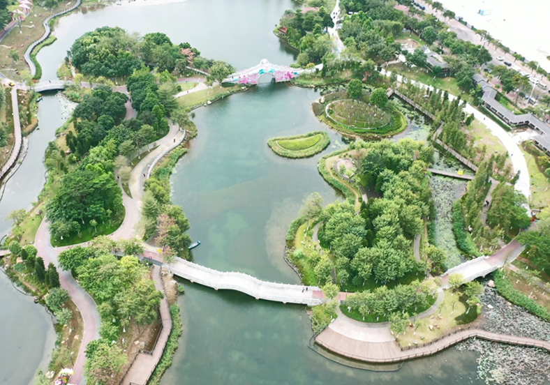 重建水下生态系统，提升水体自净能力