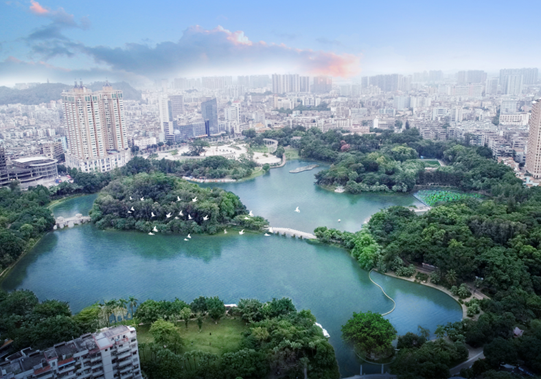 “水下森林”景观，擦亮绿色低碳城市名片